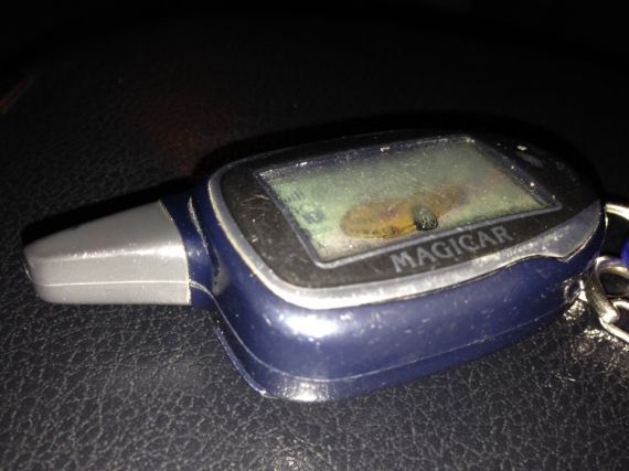 Инструкция по возможным неисправностям сигнализации Magicar 5, 6 и 7. Самое популярное и не очень